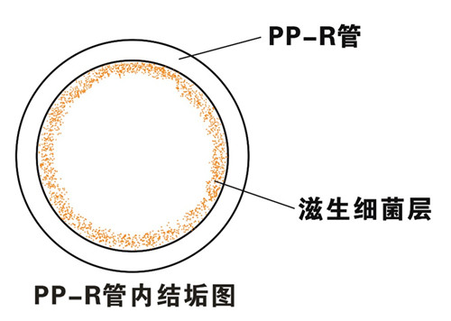 PP-R滲氧，易滋生細菌，有異味；腐蝕金屬連接件，降低使用壽命